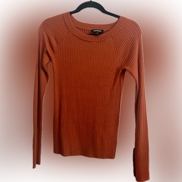 Express Sweaters - Express knit sweater size medium